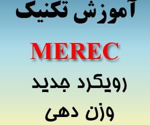 آموزش روش merec تکنیک جدید وزن دهی به معیارها